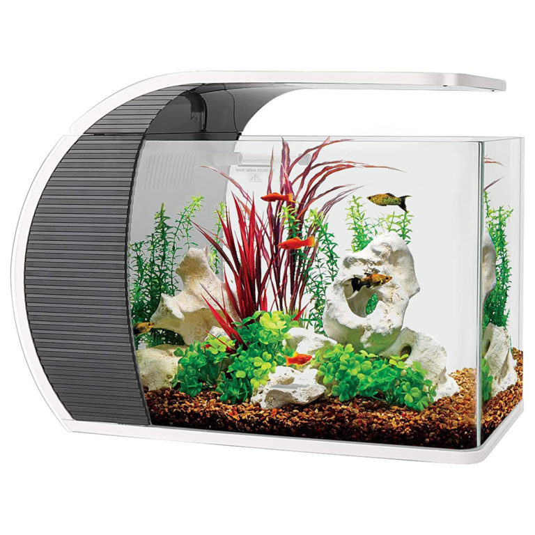 Fish Aquarium Starter Kit