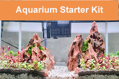 Aquarium Starter Kit