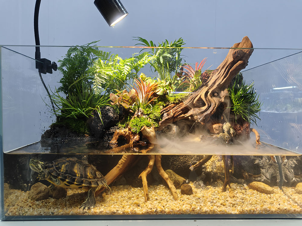 Choose the right aquarium
