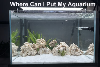 Where Can I Put My Aquarium