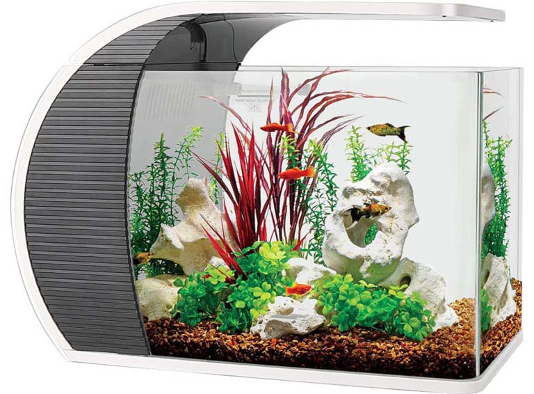 hygger 5 gallon tank