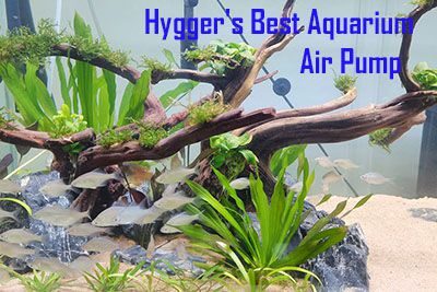 Hygger’s Best Aquarium Air Pump