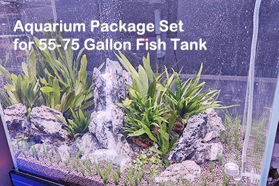 Aquarium Package Set for 55-75 Gallon Fish Tank