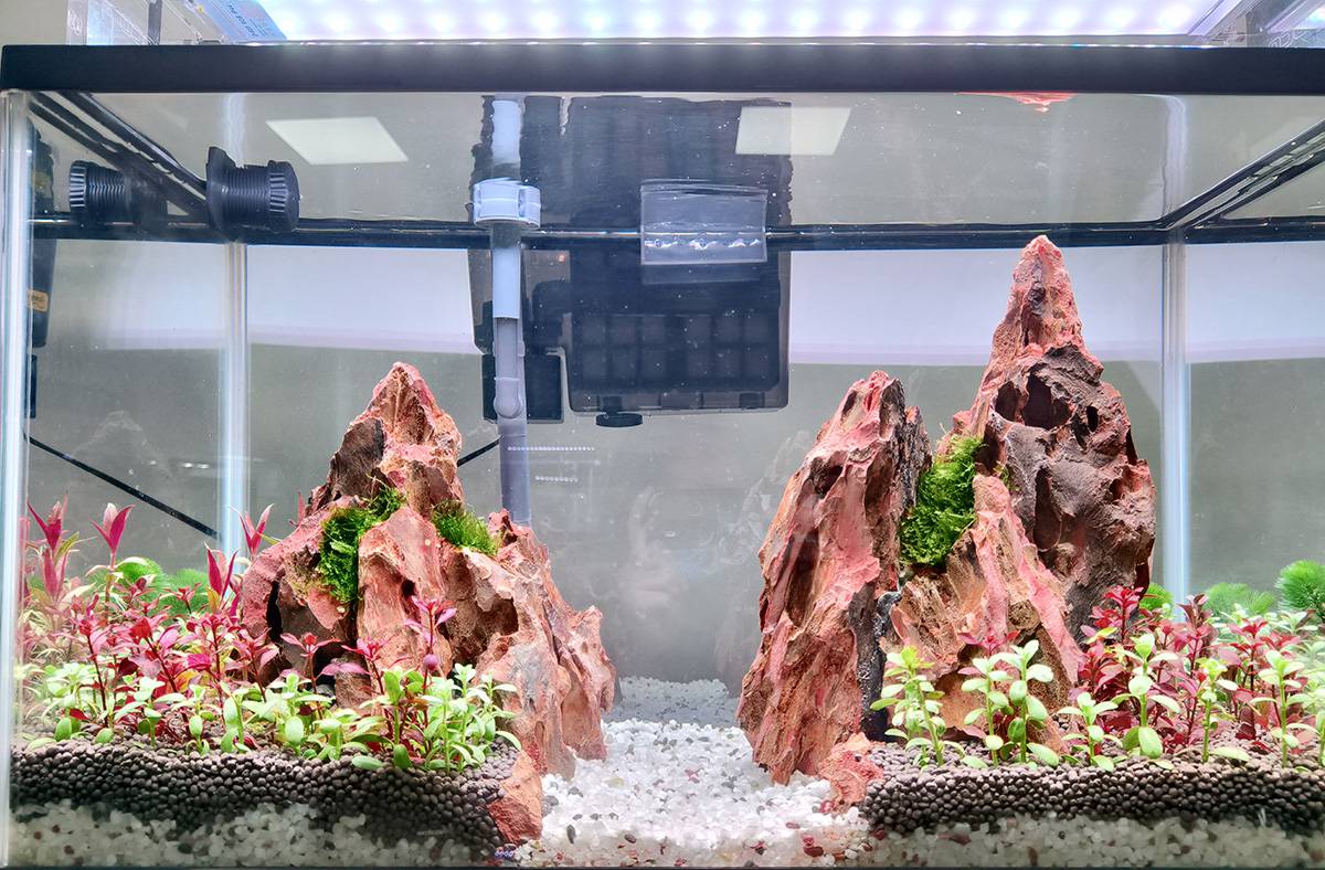 mountain in aquarium