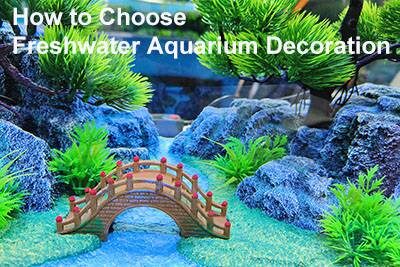 How to Choose Freshwater Aquarium Decoration