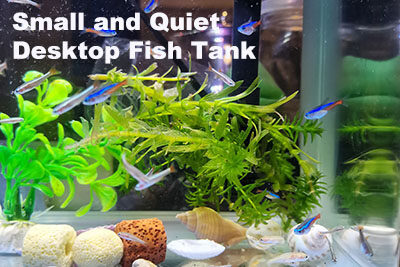 Small and Quiet Desktop Fish Tank