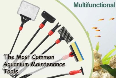 The Most Common Aquarium Maintenance Tools