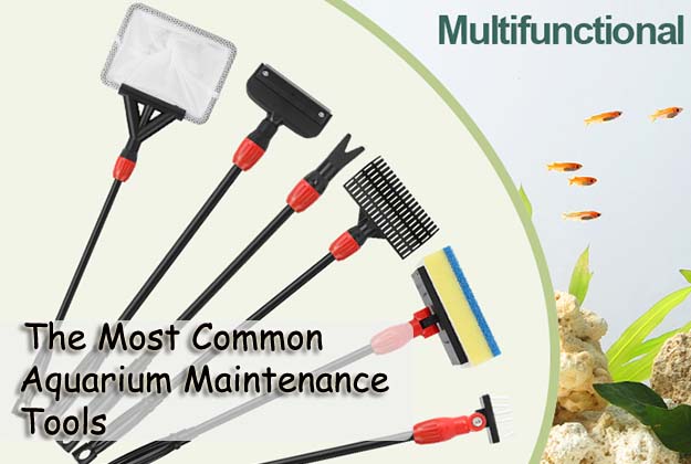 The Most Common Aquarium Maintenance Tools
