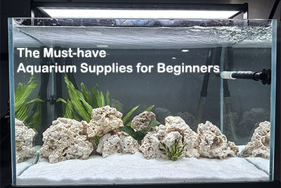 The Must-have Aquarium Supplies for Beginners