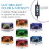 Custom Full Spectrum LED Aquarium Light