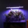 LED Aquarium Tank Light Scenes