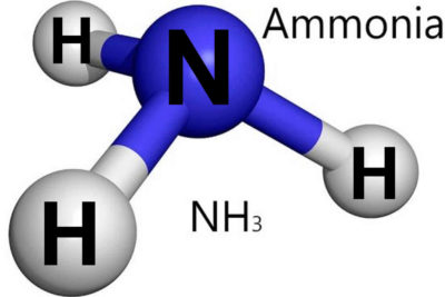 How To Lower Ammonia In Fish Tank