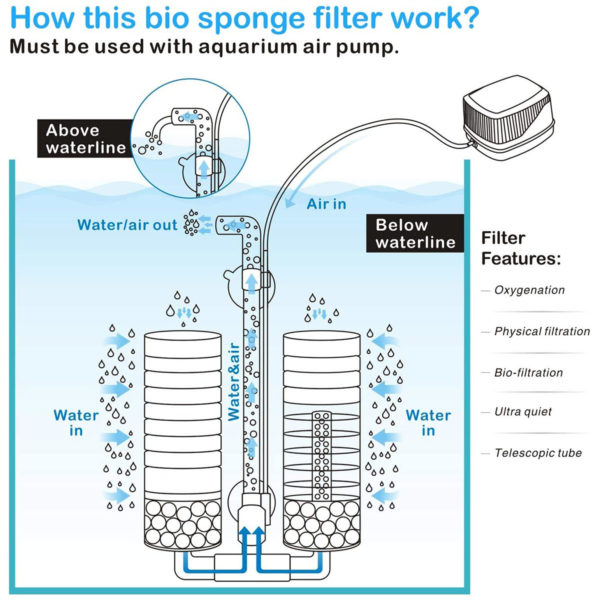 How Does A Sponge Filter Work