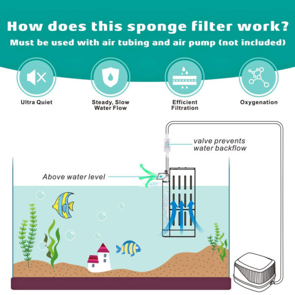 Fish Tank Filter Working Principle
