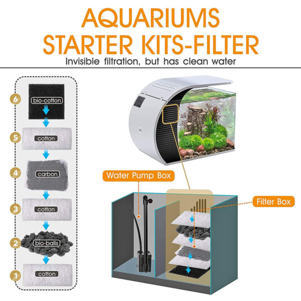 5 gallon fish tank starter kit