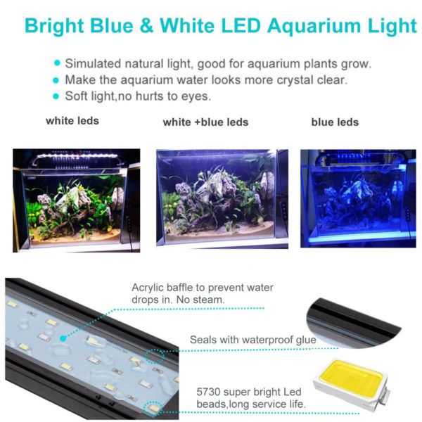 Blue White Aquarium Light