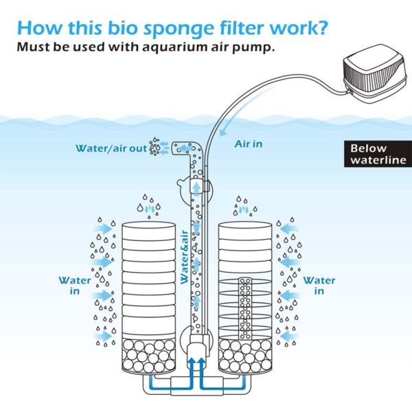 Sponge Filter Below Waterline