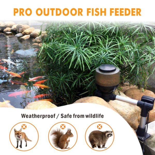 Pro Fish Feeder for Pond