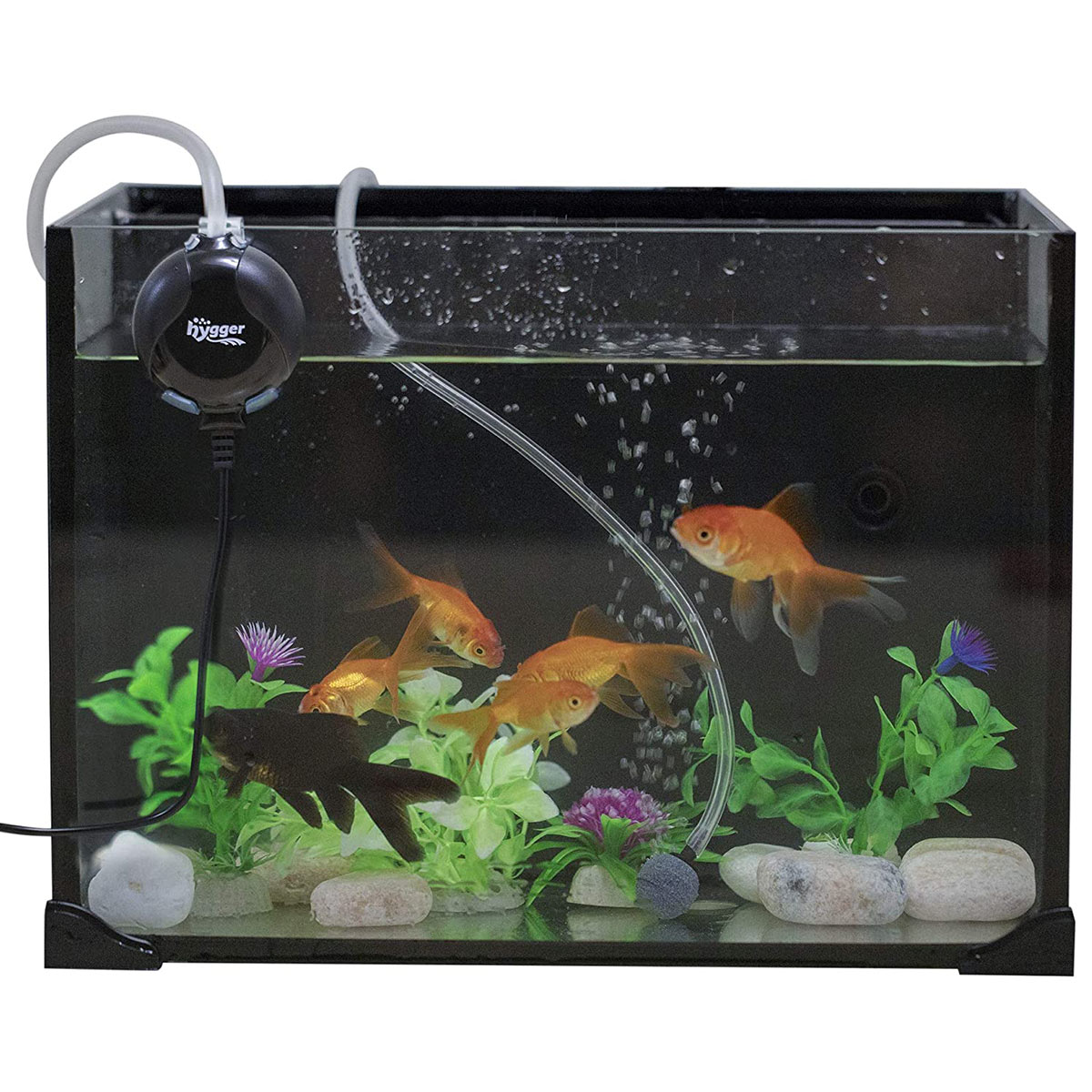 hygger Aquarium Luftpumpe, Sehr Leise Regelbar Mini Aquarium Sauerstoffpumpe  für 1-75 Litern Fischschale mit Luftschlauch, Sprudelstein und  Rückschlagventil(1W) : : Haustier