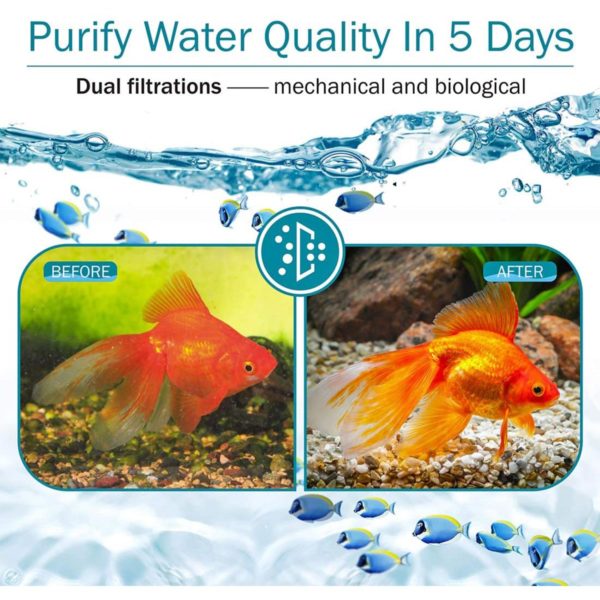 Bio Filter Media to Purify Water Quality