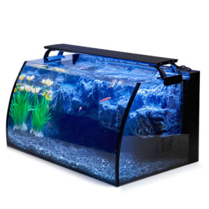 50 Gallon Fresh Water Fish Tank - Plainfield, IL Patch