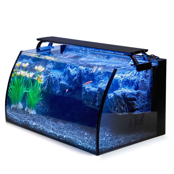 Cool betta fish tanks outlet
