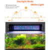 Best Planted Aquarium Light