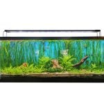 hygger light for planted tanks