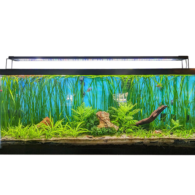  Hygger - Luz LED programable para acuario con plantas, espectro  completo, soportes extensibles con pantalla LCD, impermeable IP68, 7  colores y 4 modos para principiantes y avanzados : Productos para Animales