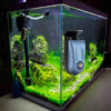Magnetic Fish Tank Cleaner