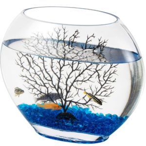 Hygger Mini Glass Oblate Fish Bowl
