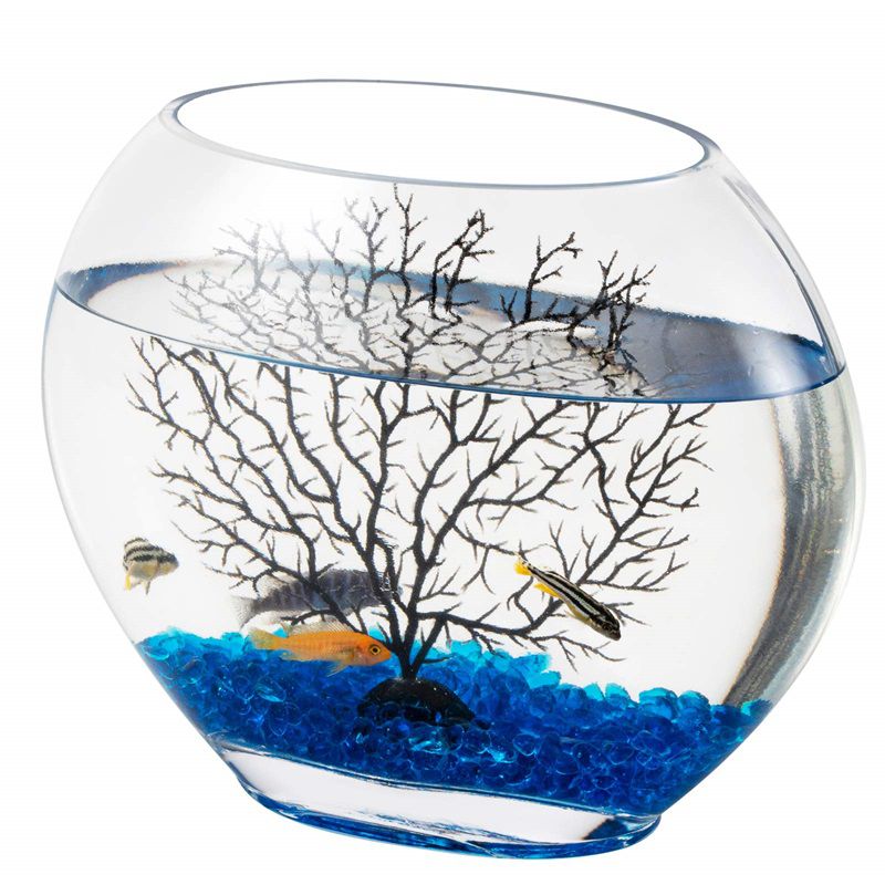 https://www.hygger-online.com/wp-content/uploads/2021/06/Hygger-Mini-Glass-Oblate-Fish-Bowl-1-1.jpg