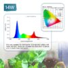 Full Spectrum Light 14W