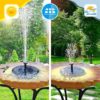 Solar Fountain Works Under Full Sun