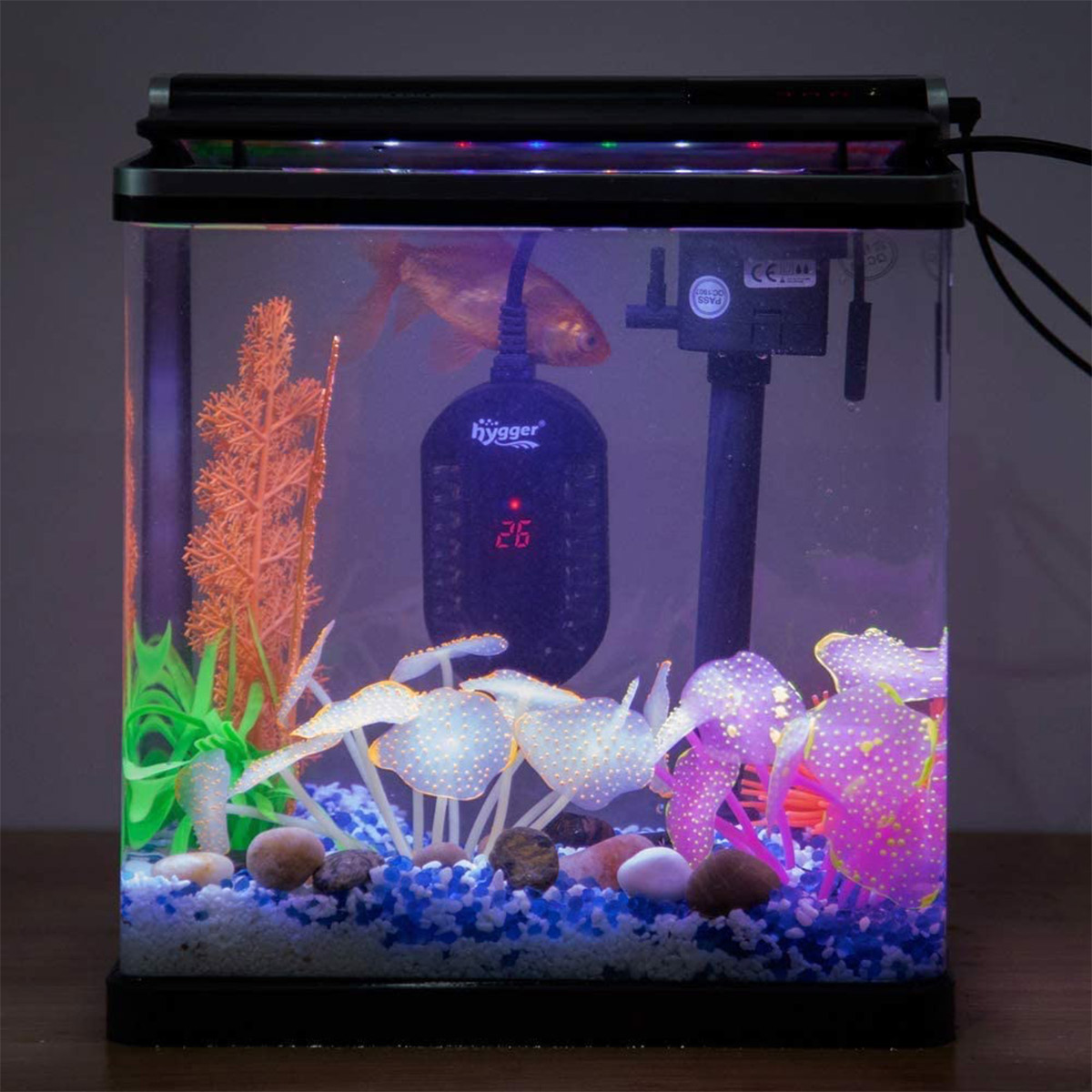 Hygger Mini calentador de acuario sumergible con pantalla digital de 100 W  para tanque de peces pequeño, termostato de calentamiento compacto y