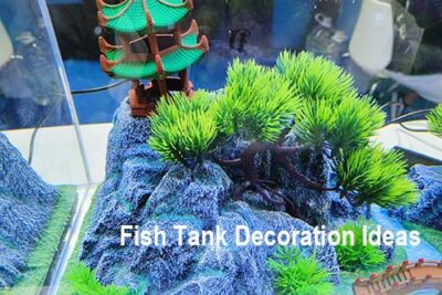 Fish Tank Decoration Ideas