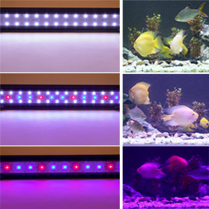 3 light mode in fish tank