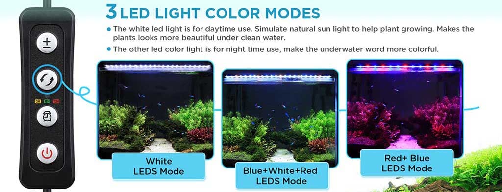 red blue white light modes