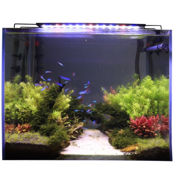 hygger Aquarium Red Blue White Light