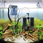Filter Keeps Aquarium Water Sparkling Clean