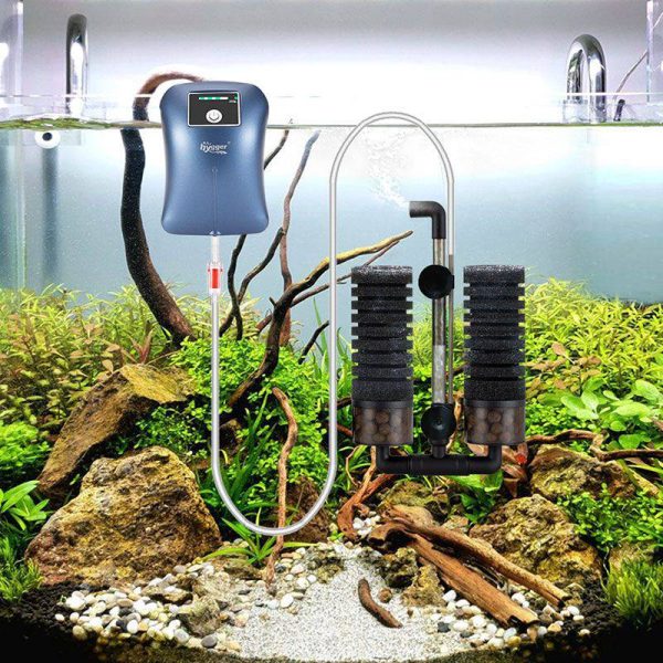 Filter Keeps Aquarium Water Sparkling Clean