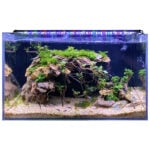 LED Fish Tank Lights for Tanks