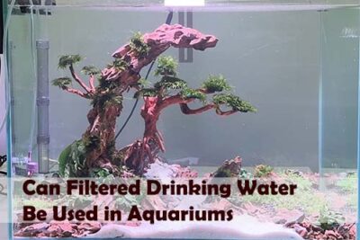 Can Filtered Drinking Water Be Used in Fish Aquariums