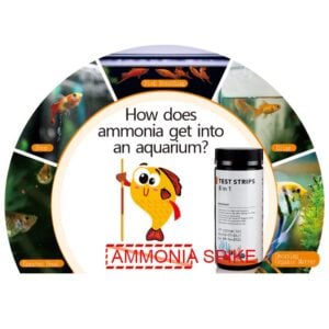 Ammonia Level Test kit for Fish Tank