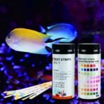 Maintain Good Aquarium Water Quality