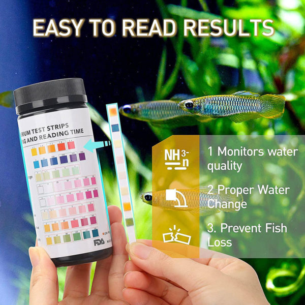 Test Kit Helps to Keep Fish Healthy