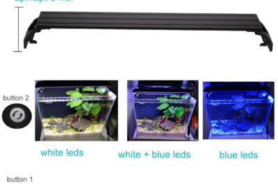 Should I Turn My Aquarium Light Off at Night