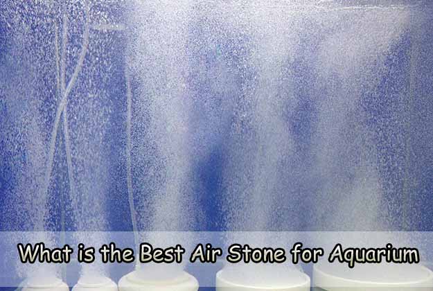 Best airstone for aquarium deals