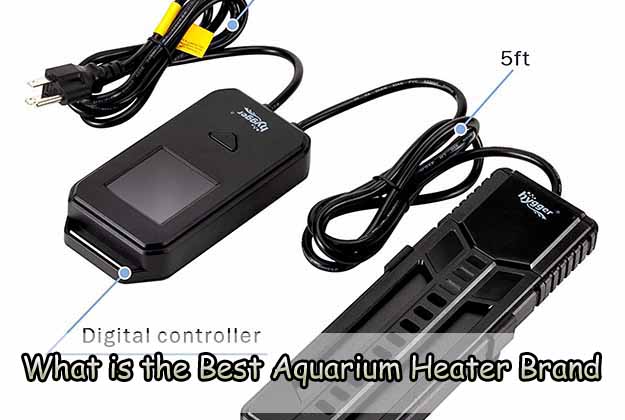 What is the Best Aquarium Heater Brand