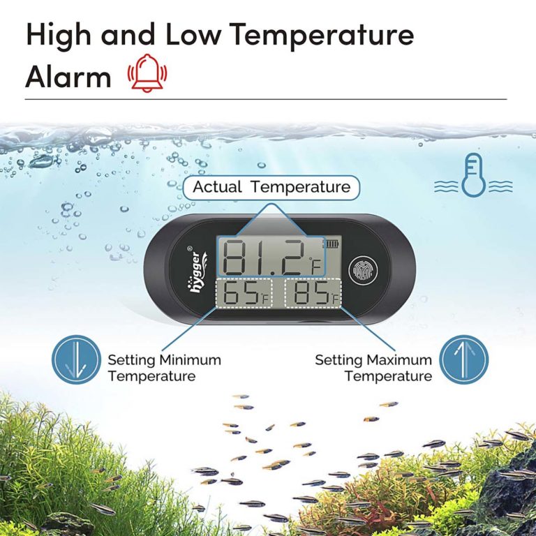 New Release Thermometer